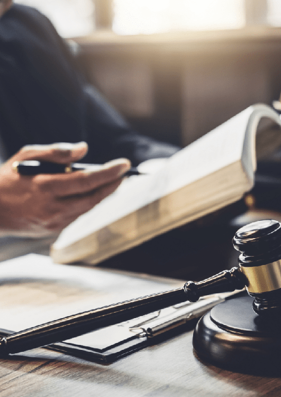 consulting legislation tropic invest